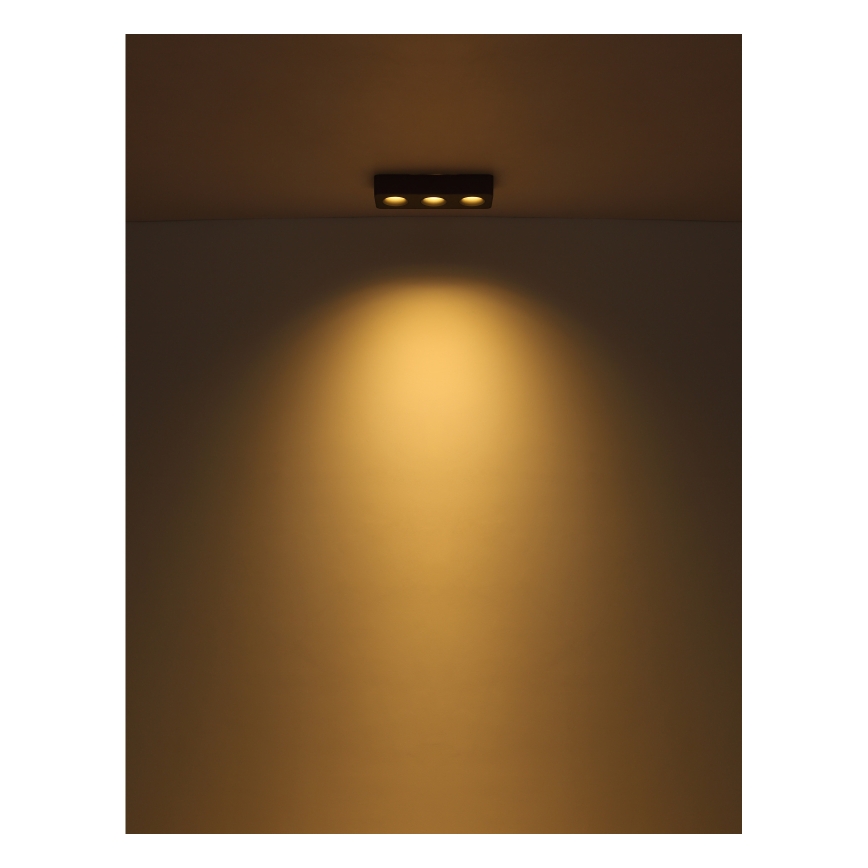 Globo - LED Stropna svjetiljka LED/14W/230V 11,7x33,2 cm