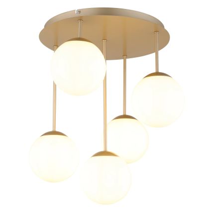 Globo - Plafonski luster 5xE14/25W/230V mesing