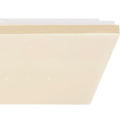 Globo - LED stropna svjetiljka s prigušivanjem LED/24W/230V Wi-Fi Tuya + daljinsko upravljanje