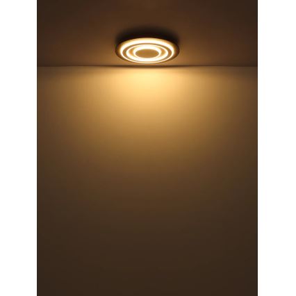 Globo - LED Stropna svjetiljka LED/24W/230V 3000K pr. 32 cm antracit
