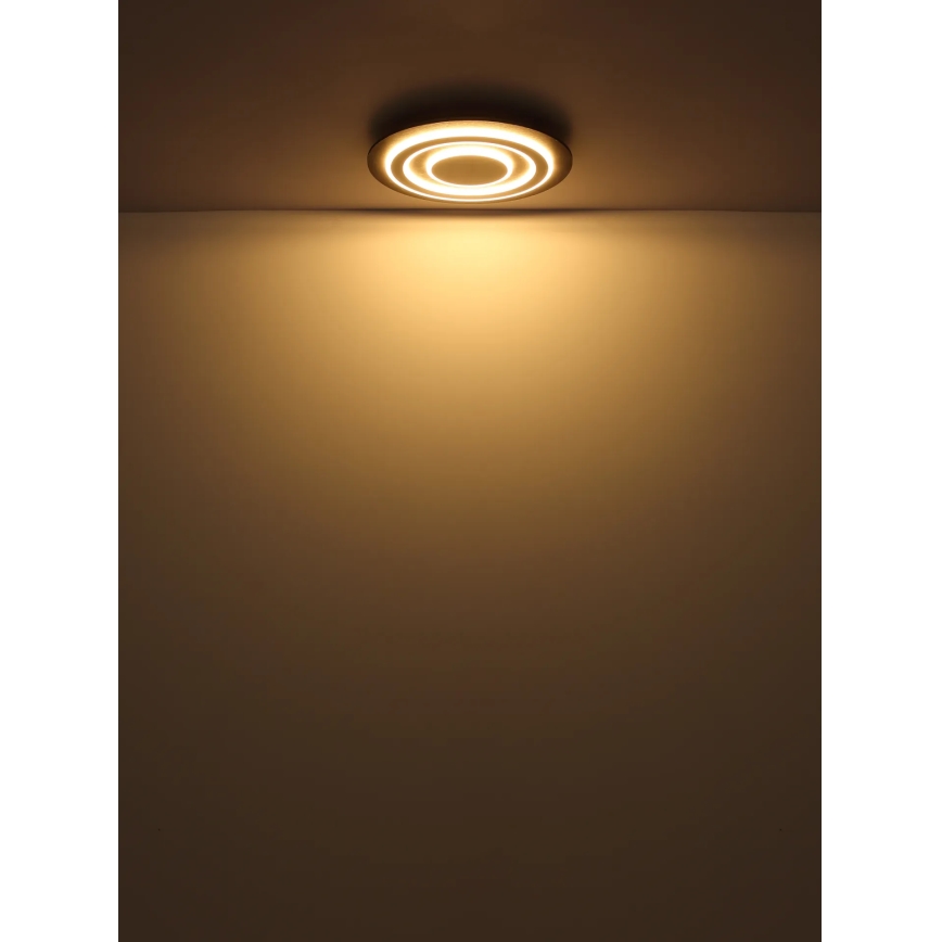 Globo - LED Stropna svjetiljka LED/24W/230V 3000K pr. 32 cm antracit