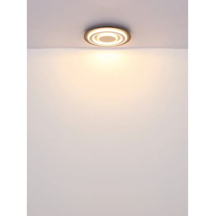 Globo - LED Stropna svjetiljka LED/24W/230V 3000K pr. 32 cm antracit