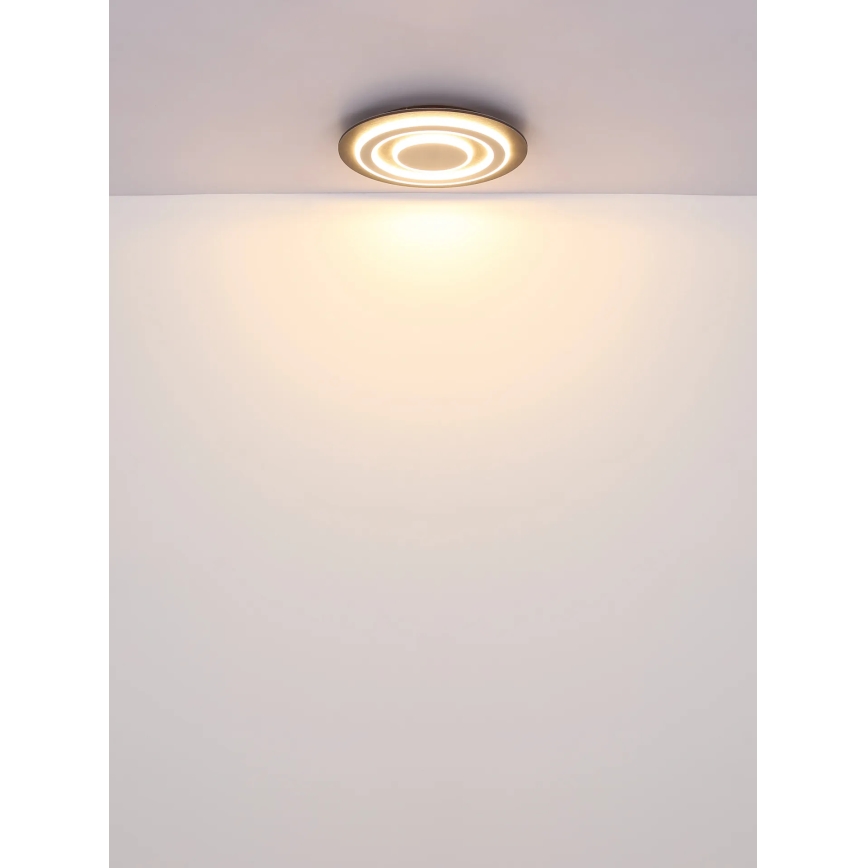 Globo - LED Stropna svjetiljka LED/24W/230V 3000K pr. 32 cm antracit