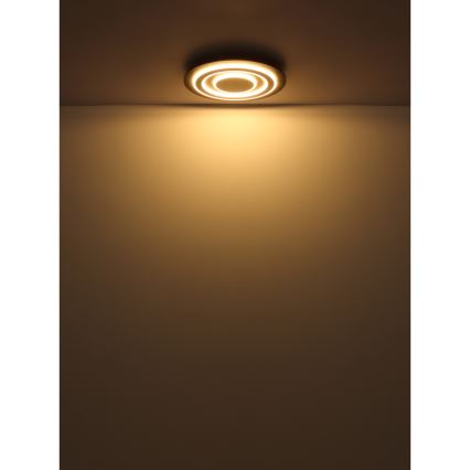 Globo - LED Stropna svjetiljka LED/24W/230V 3000K pr. 32 cm