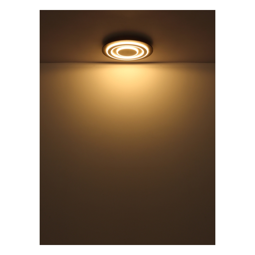 Globo - LED Stropna svjetiljka LED/24W/230V 3000K pr. 32 cm