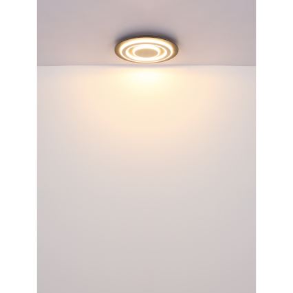 Globo - LED Stropna svjetiljka LED/24W/230V 3000K pr. 32 cm