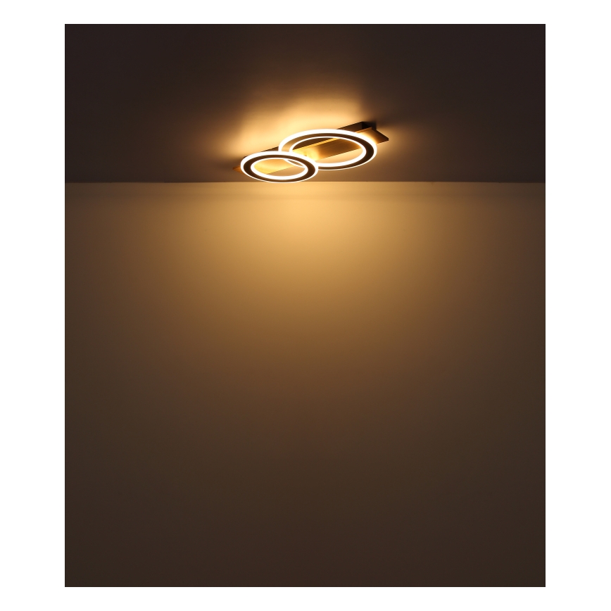Globo - LED Stropna svjetiljka LED/40W/230V 3000K 35x63 cm
