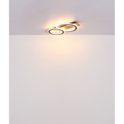 Globo - LED Stropna svjetiljka LED/40W/230V 3000K 35x63 cm