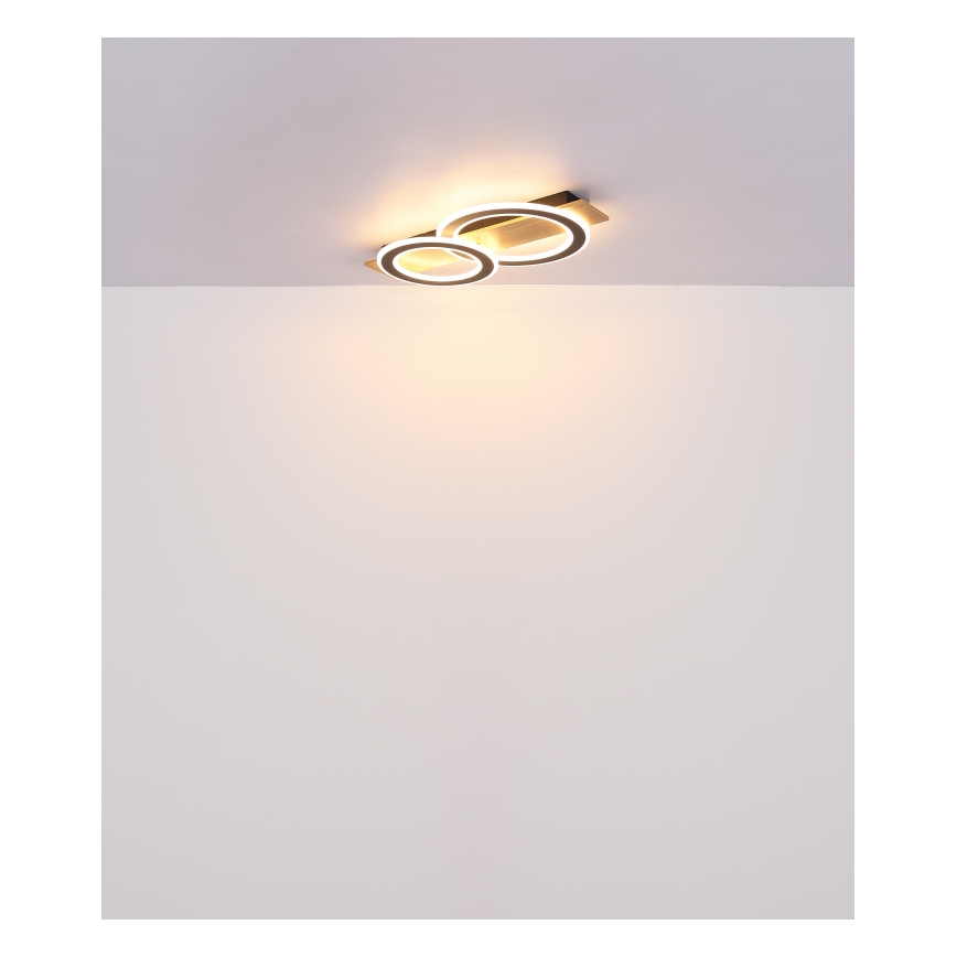 Globo - LED Stropna svjetiljka LED/40W/230V 3000K 35x63 cm