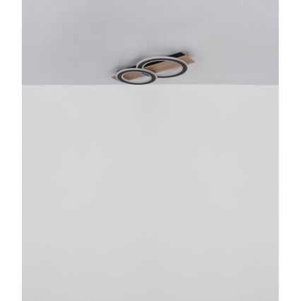 Globo - LED Stropna svjetiljka LED/40W/230V 3000K 35x63 cm