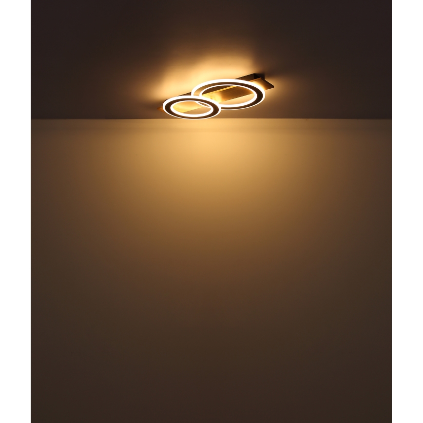 Globo - LED Stropna svjetiljka LED/40W/230V smeđa