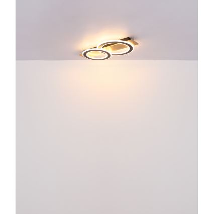 Globo - LED Stropna svjetiljka LED/40W/230V smeđa