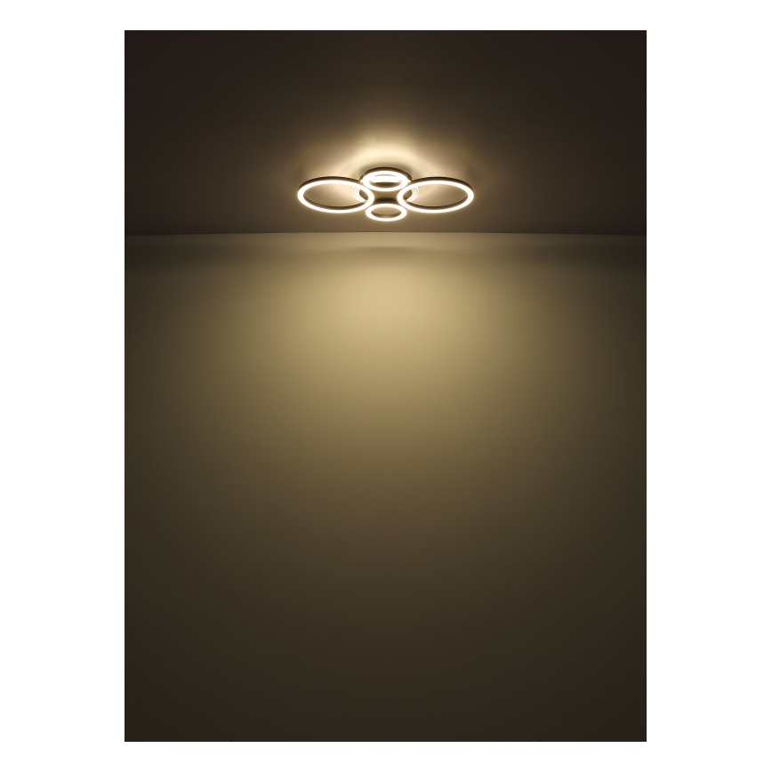 Globo - LED Stropna svjetiljka LED/30W/230V 2700/4500/6500K pr. 33x50 cm crna