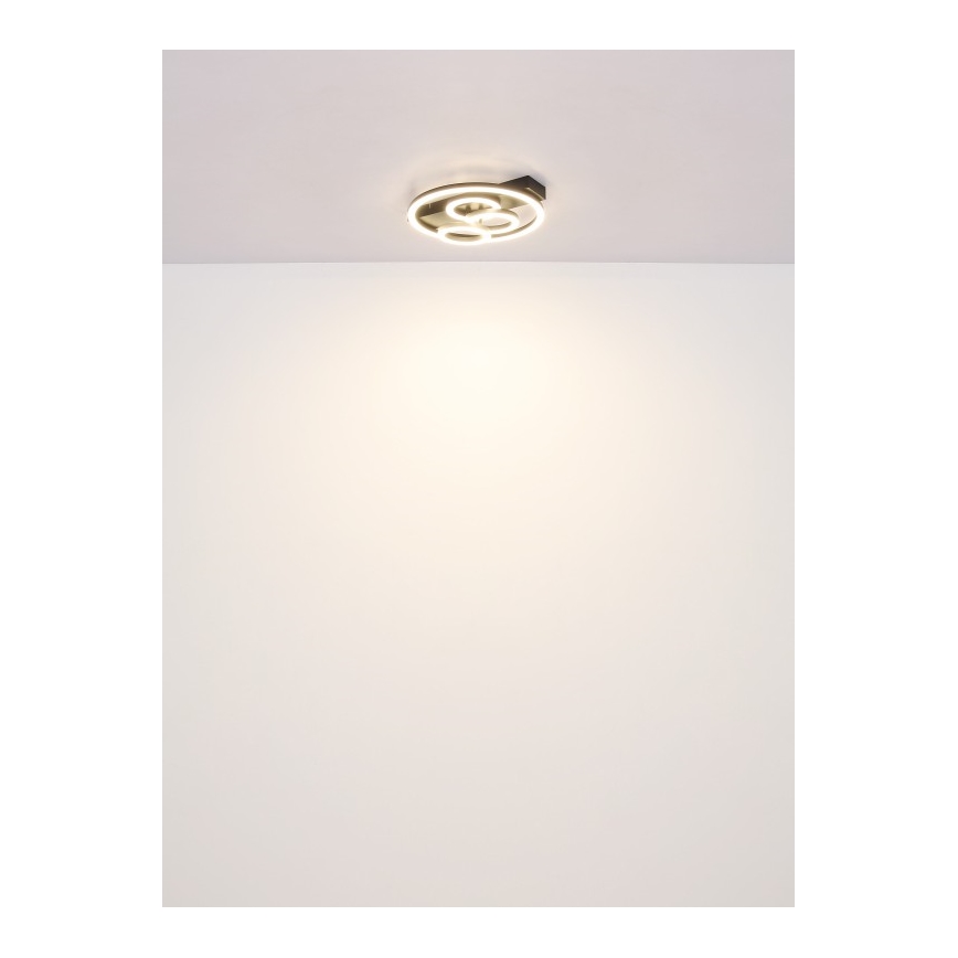 Globo - LED prigušivo stropno svjetlo LED/40W/230V 2700-6500K promjer 35x33 cm + daljinski upravljač