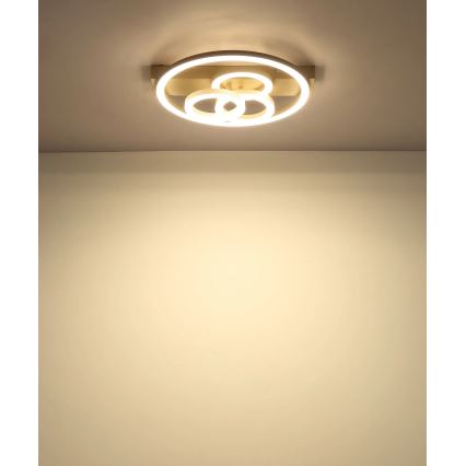 Globo - LED stropno svjetlo s prigušivanjem LED/40W/230V 2700-6500K Ø 35x33 cm bež + daljinski upravljač