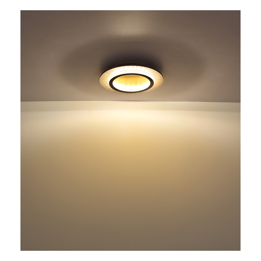 Globo - LED stropna svjetiljka LED/24W/230V 3000/4000/6500K Ø 35 cm crna
