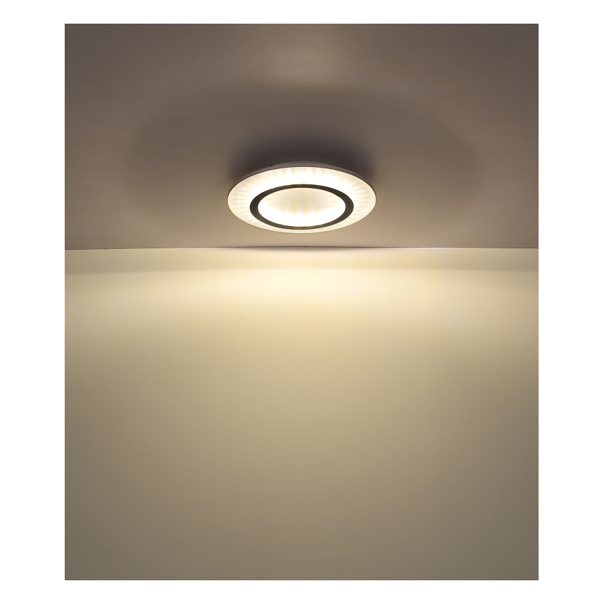 Globo - LED stropna svjetiljka LED/24W/230V 3000/4000/6500K Ø 35 cm bijela