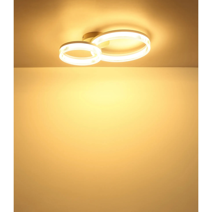 Globo - LED stropna svjetiljka LED/24W/230V 3000K 33x50 cm