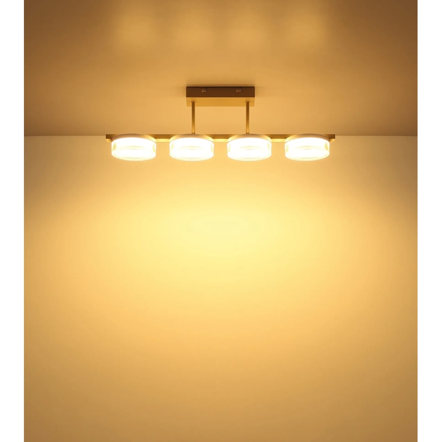 Globo - LED stropna svjetiljka za površinsku montažu LED/24W/230V 3000K