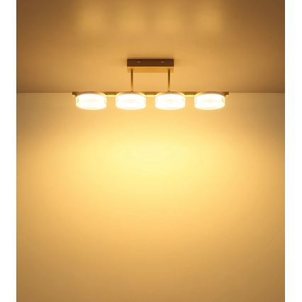 Globo - LED stropna svjetiljka za površinsku montažu LED/24W/230V 3000K
