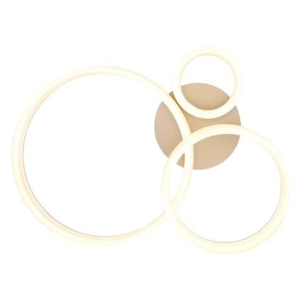 Globo - LED stropno svjetlo LED/24W/230V 3000K 40,5x51 cm