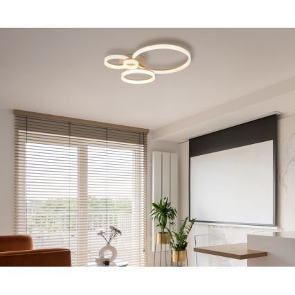 Globo - LED stropna svjetiljka LED/40W/230V 3000K 64,5x75 cm