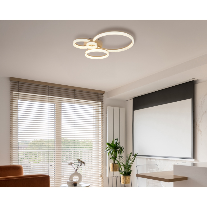 Globo - LED stropna svjetiljka LED/40W/230V 3000K 64,5x75 cm