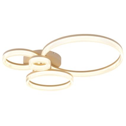 Globo - LED stropna svjetiljka LED/40W/230V 3000K 64,5x75 cm
