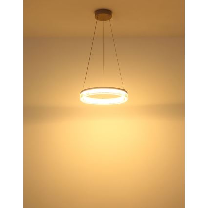 Globo - LED luster na sajli LED/16W/230V 3000K