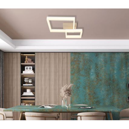 Globo - LED stropna svjetiljka LED/24W/230V 3000K 46,5x62,5 cm