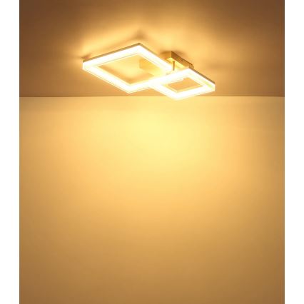 Globo - LED stropna svjetiljka LED/24W/230V 3000K 46,5x62,5 cm