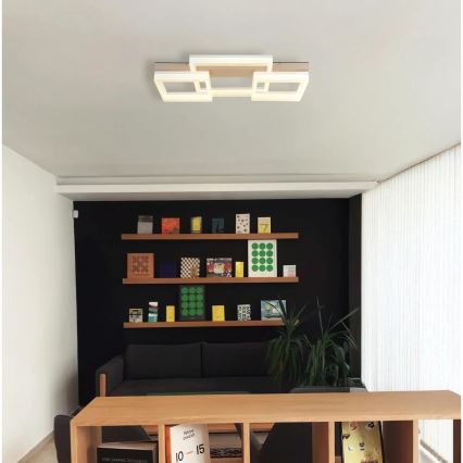 Globo - LED stropna svjetiljka LED/40W/230V 3000K 33x66 cm