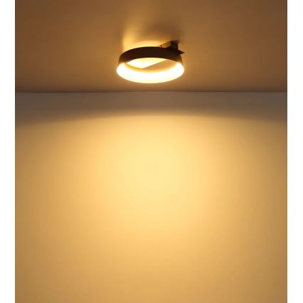 Globo - LED stropna svjetiljka LED/12W/230V 3000K 26x25 cm