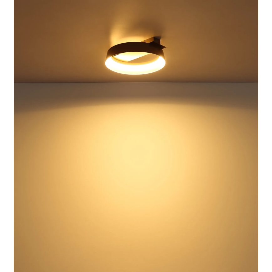 Globo - LED stropna svjetiljka LED/12W/230V 3000K 26x25 cm