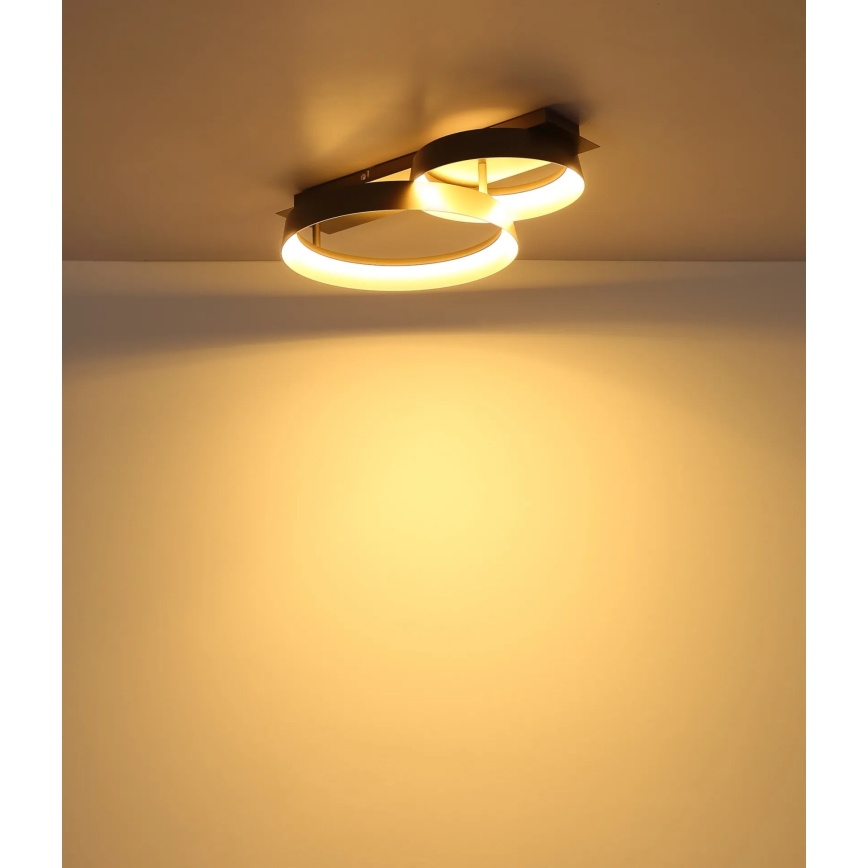 Globo - LED stropna svjetiljka LED/24W/230V 3000K 50x35 cm