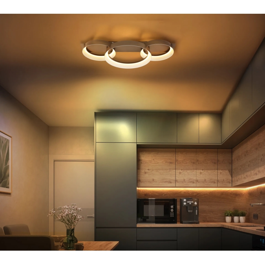 Globo - LED stropno svjetlo LED/40W/230V 3000K 70x35 cm