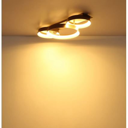 Globo - LED stropno svjetlo LED/40W/230V 3000K 70x35 cm
