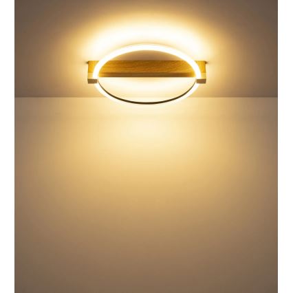 Globo - LED stropna svjetiljka LED/15W/230V 3000K bež