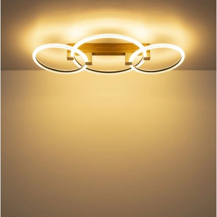 Globo - LED stropna svjetiljka LED/40W/230V 3000K 76,1x38 cm smeđa
