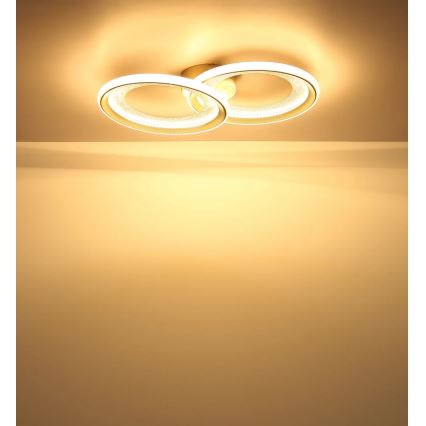 Globo - LED stropna svjetiljka LED/30W/230V 3000K 31,5x52,5 cm