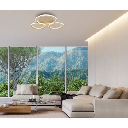 Globo - LED stropna svjetiljka LED/40W/230V 3000K 60,5x62,5 cm
