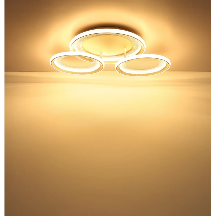 Globo - LED stropna svjetiljka LED/40W/230V 3000K 60,5x62,5 cm