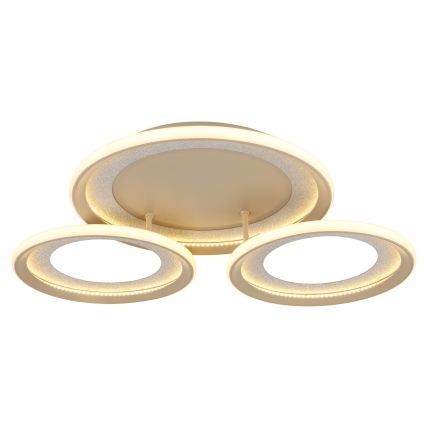 Globo - LED stropna svjetiljka LED/40W/230V 3000K 60,5x62,5 cm