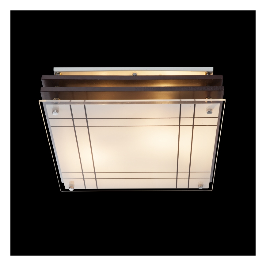 Globo - Stropna svjetiljka 2xE27/60W/230V