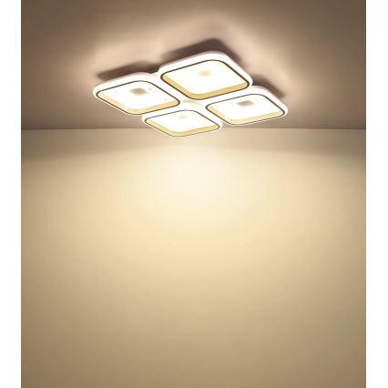 Globo - Stropna LED svjetiljka s prigušivanjem LED/55W/230V 2700-6000K 54x54 cm + daljinski upravljač