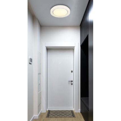 Globo - LED Stropna svjetiljka LED/24W/230V 4000K pr. 38 cm