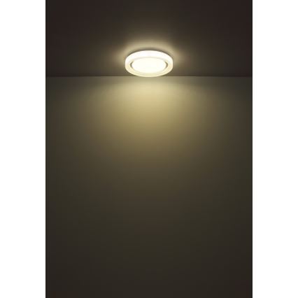 Globo - LED Stropna svjetiljka LED/24W/230V 4000K pr. 38 cm