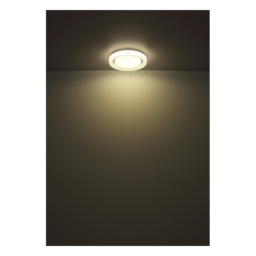 Globo - LED Stropna svjetiljka LED/24W/230V 4000K pr. 38 cm
