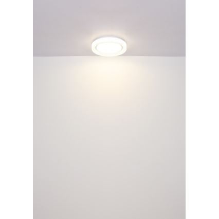 Globo - LED Stropna svjetiljka LED/24W/230V 4000K pr. 38 cm