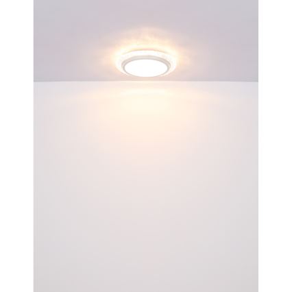 Globo - LED Stropna svjetiljka LED/22W/230V 3000K pr. 40 cm